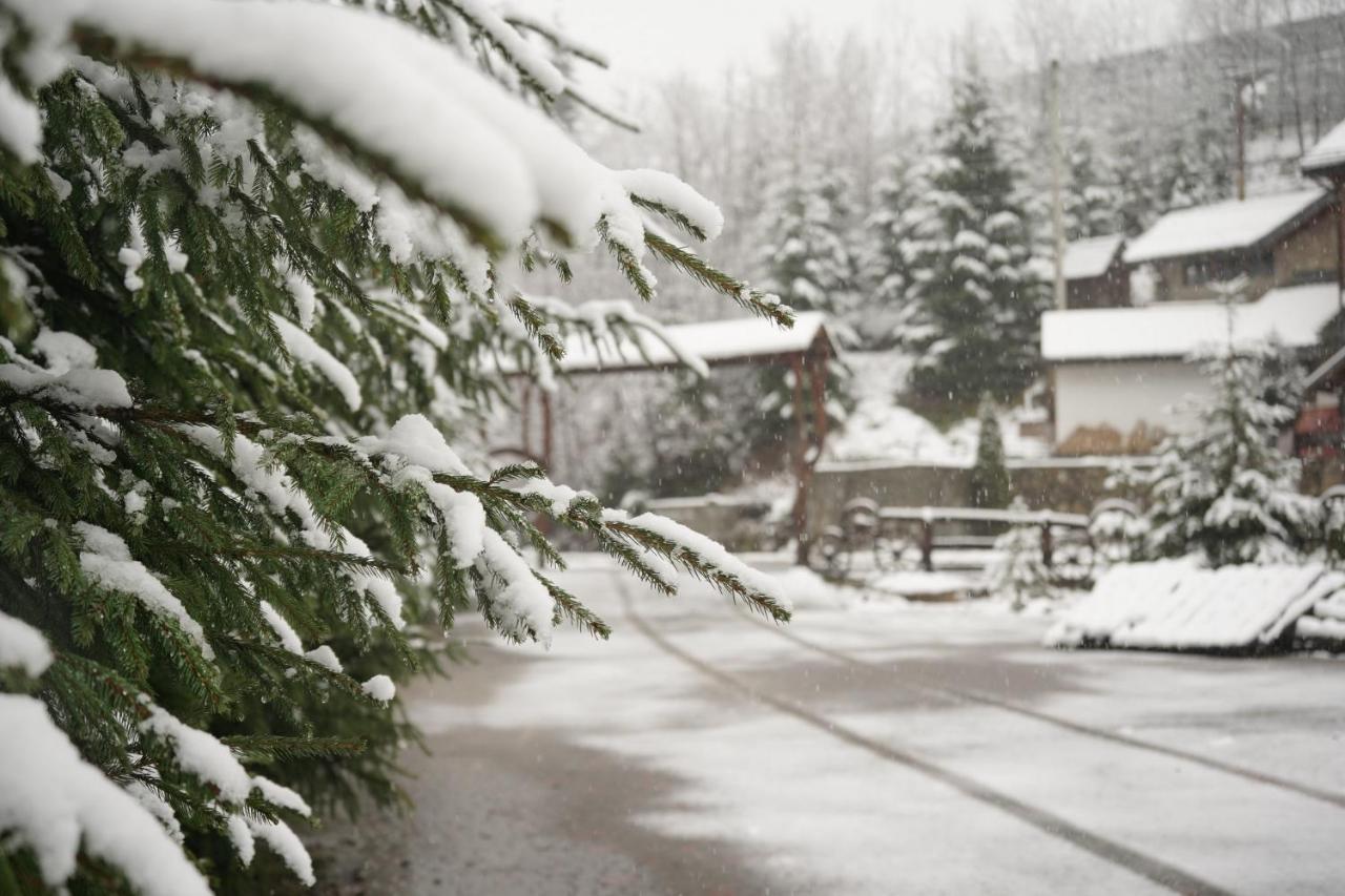 Girskiy Prutets Bukovel Dış mekan fotoğraf
